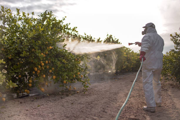 Best Emergency Pest Control  in Union City, GA