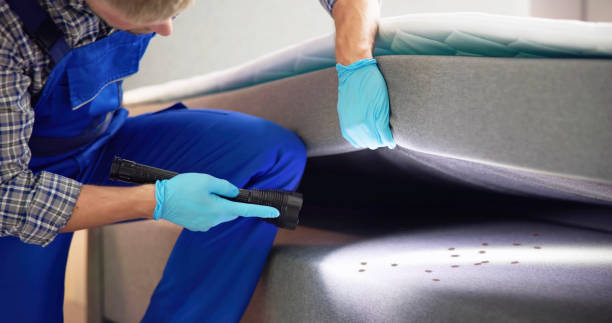 Trusted Union City, GA Pest Control Experts